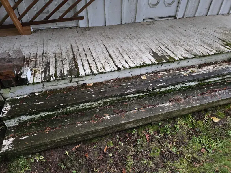 20241112 071855-1773334092187