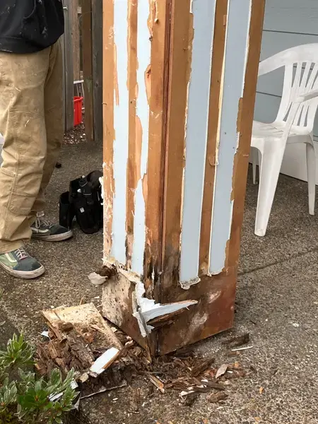 IMG 1793-1773335413341