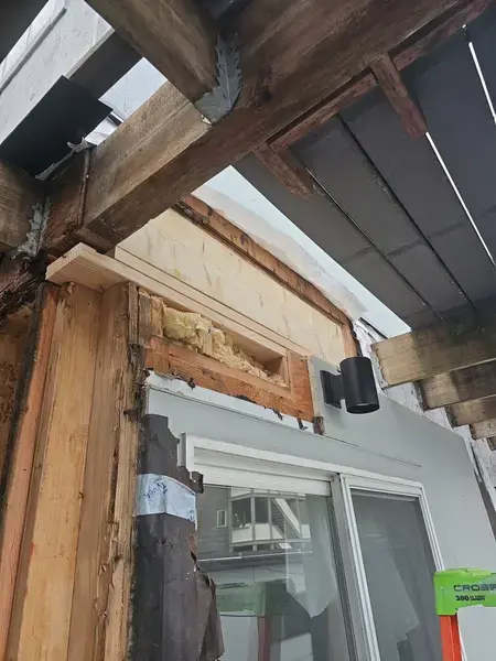 down-net http20260312-259-v24s1g-1773335249574