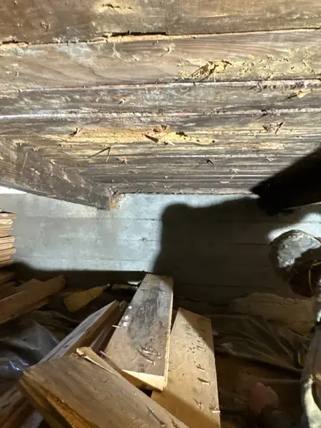 down-net http20260313-207-ix7jv1-1773442667934