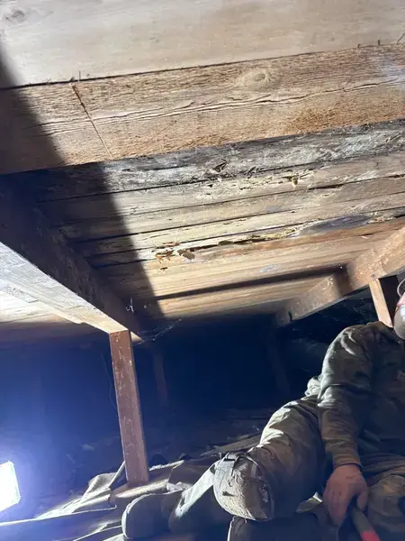 down-net http20260313-314-uaalzq-1773442403255