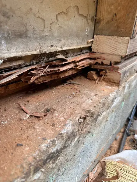 down-net http20260313-459-46ajpc-1773442771410