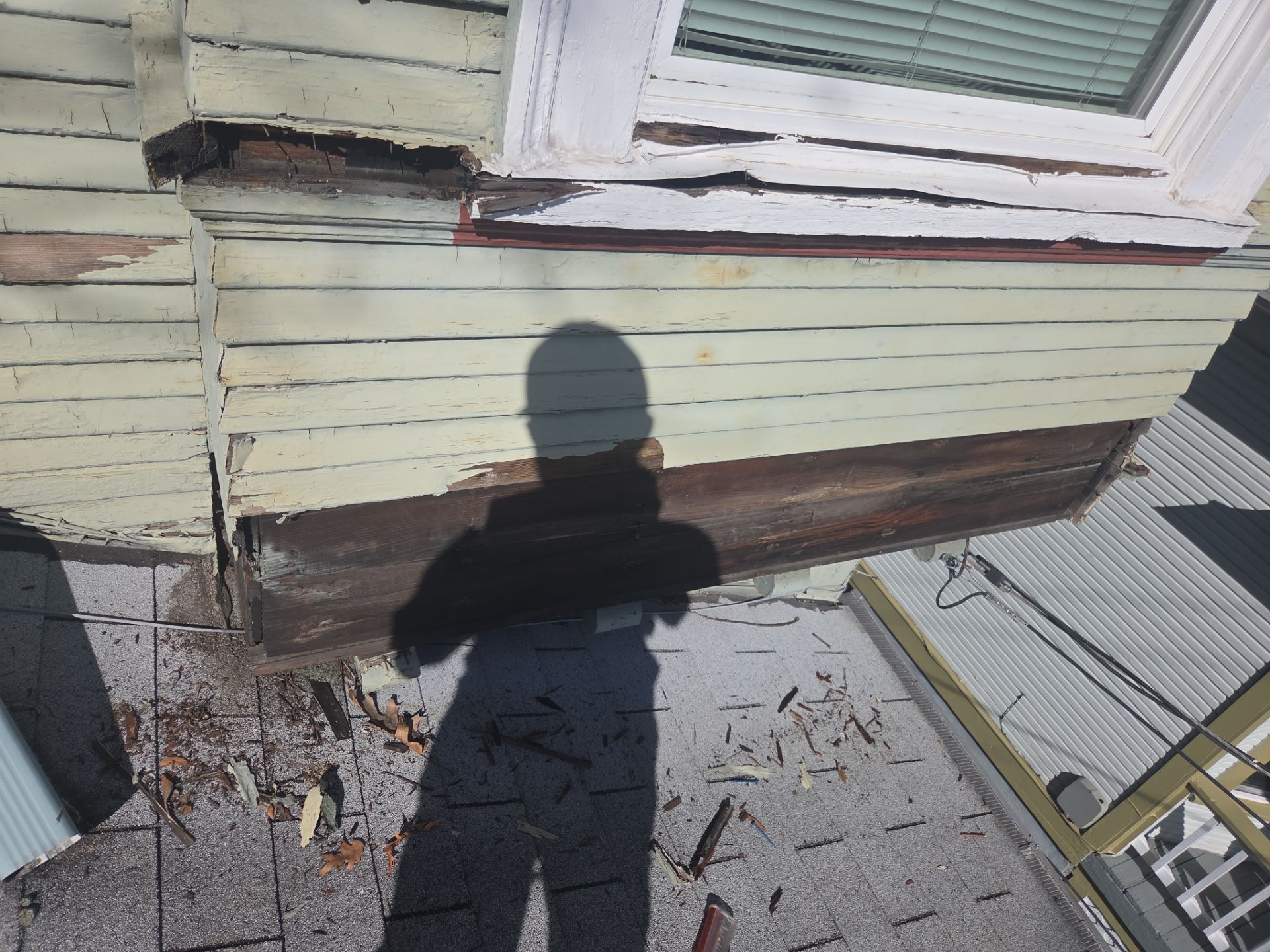 Exterior Siding Wall Rot Repair